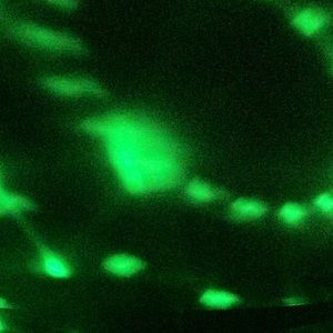 Meet your Posher, Arenn